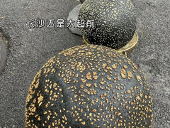 -海尔巴格新疆餐厅(东来兴店)