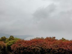 -雨花胜境