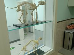 -酷宠动物医院(天通西苑店)