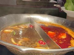 -九鼎轩脆毛肚火锅(三钢里店)