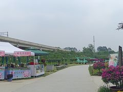 -秀丽东方