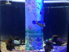 -常州海昌海洋探索馆