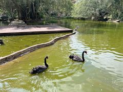 -海南热带野生动植物园