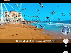 -青岛海泉湾•海洋之星摩天轮