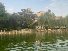 -莲湖公园