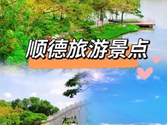 -陶缘一号·四季缘·老字号顺德菜·户外婚礼家宴(西滘店)