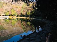 -蝴蝶泉公园
