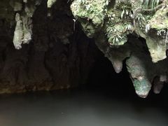 Waitomo&nbsp;Glowworm&nbsp;Caves-怀托摩萤火虫洞