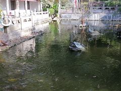 -国恩寺
