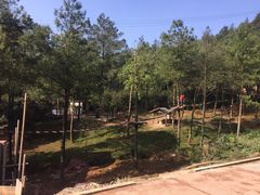 -梦幻奥陶纪景区