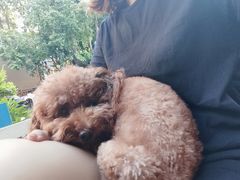 -半坡九号老挝冰咖啡