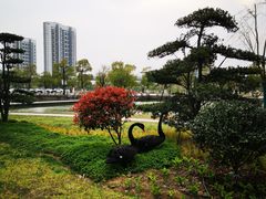 -南京医科大学(江宁校区)
