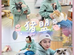 -猪盟咖啡店(玖洲道店)