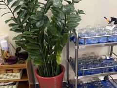 -张钰强中医正骨推拿连锁(唐家人才公寓店)