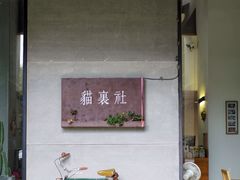 -猫里有甜