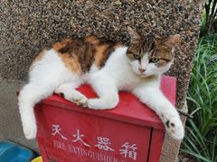 -巴金故居