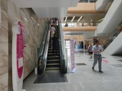 -福建省妇幼保健院(道山路院区)