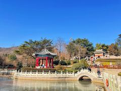 -青岛湛山寺