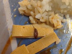 -哇哇叫炭火牛蛙烤鱼香辣蟹(第4档口乐尚美食城店)