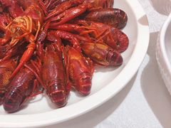 -新日月育才大酒店-中餐厅(环城北路店)
