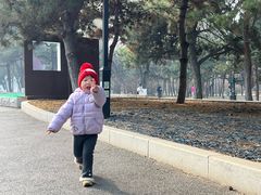 -北陵公园
