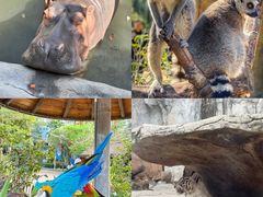 -灵玲国际马戏城