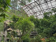 -清迈夜间动物园