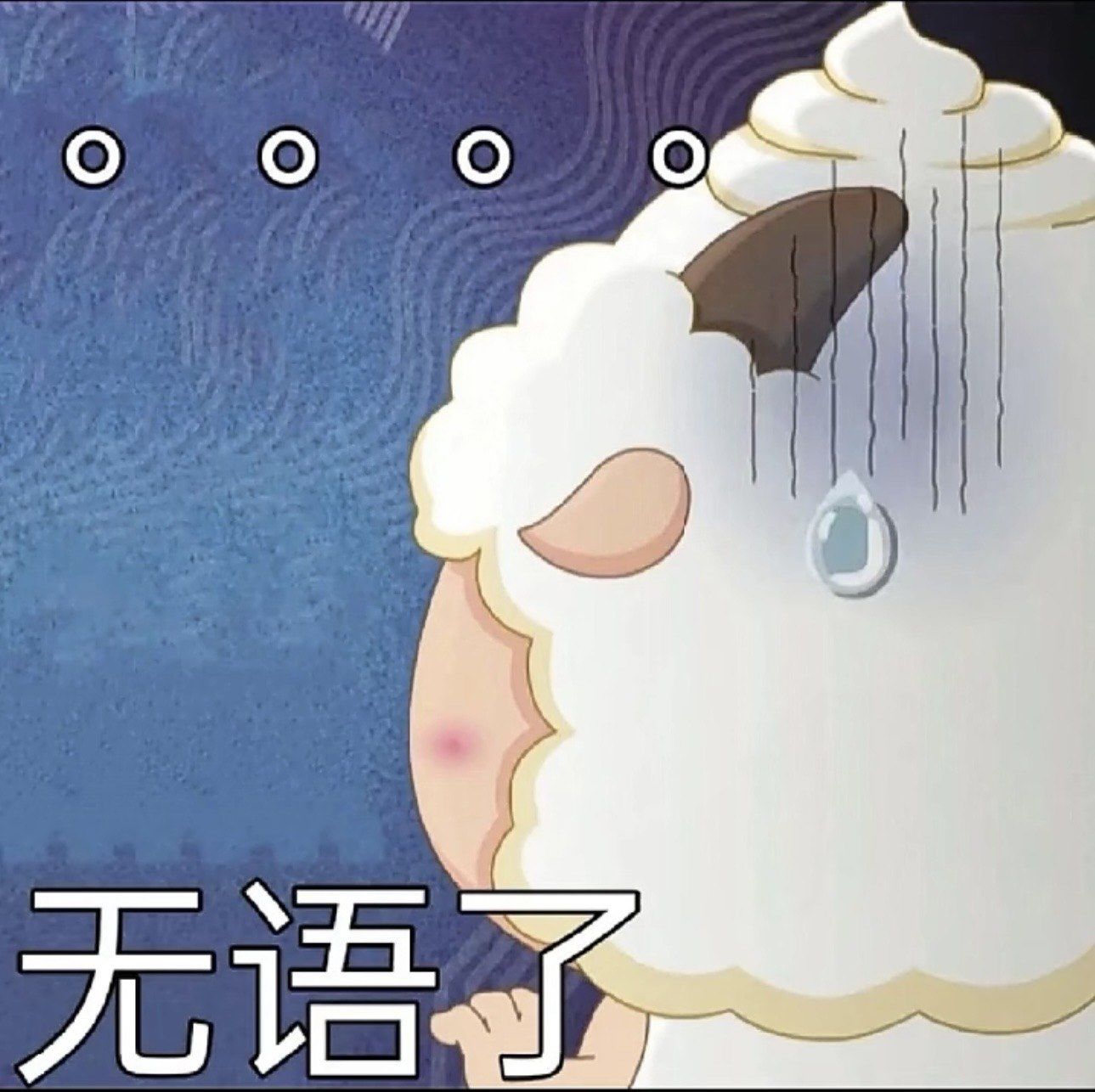 无语住了,家人们