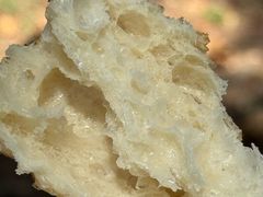 -Pain des Philosophes