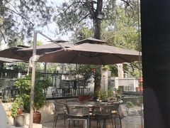 -蘇河湾·新鲁菜·泰山宴(泰山店)