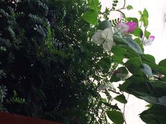 -随善园餐厅(大理店)