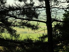 -帽儿山国家森林公园