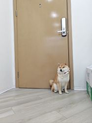 -HEYAN荷妍专业脱毛连锁机构