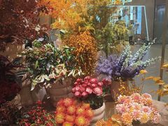 -BEAST野兽派(上海浦东嘉里城店)