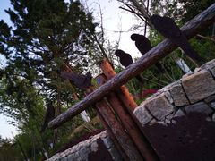 -回龙观体育文化公园