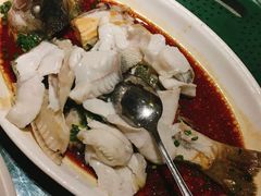 香葱淋鲈鱼-张记旺角食街(动物园店)