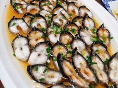 -呼吸森林·生态农庄农家乐私房菜