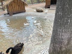 -珠海海泉湾神秘岛亲子乐园