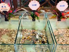 -渔家火锅·海鲜自助餐·演艺(亚龙湾天域酒店)