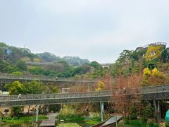 -福道