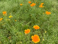 -苏州独墅湖体育馆