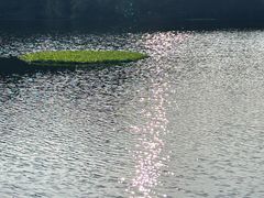 -重庆彩云湖湿地公园