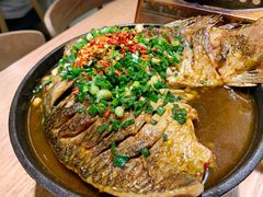 铁板鲫鱼-聚鑫朋酸菜肥肠(文艺路口店)