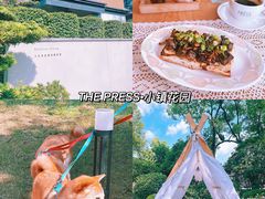 -Golden Lily河内巴黎法越料理餐厅(建国西路店)