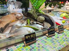 -渔家火锅·海鲜自助餐·演艺(亚龙湾天域酒店)