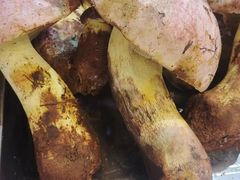 -银生食府·普洱菜(金星店)