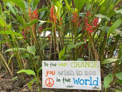 -大象粑粑造纸公园