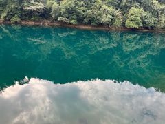 -鼎湖山风景区