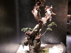 大堂-神奈川·小京
