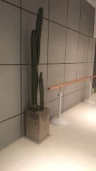 -无界瑜伽普拉提